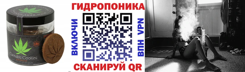 Canna-Cookies марихуана Купить Ставрополь
