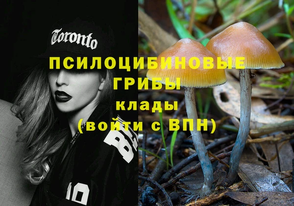 МДПВ Алексин