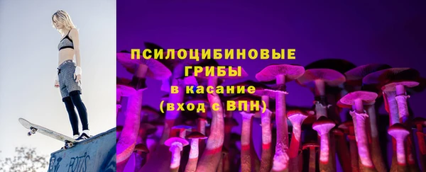стаф Алексеевка
