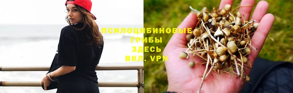 МДПВ Алексин