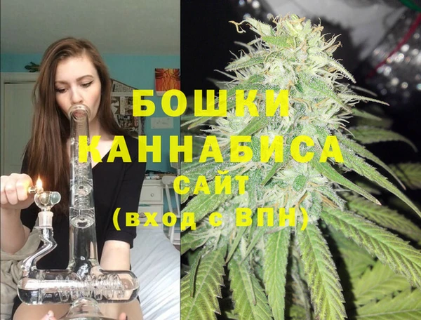 стафф Алзамай