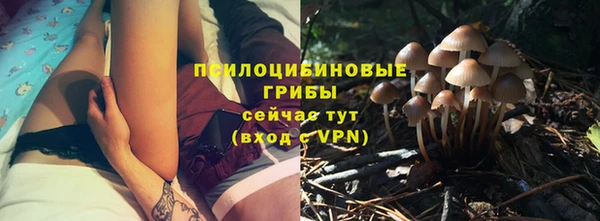стаф Алексеевка