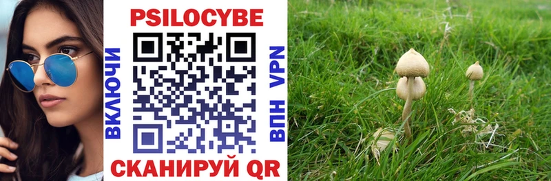 Купить закладки  Ставрополь  Галлюциногенные грибы мухоморы 